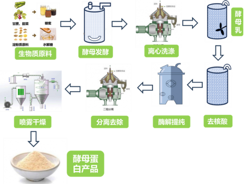 酵母蛋白：安琪重磅推出“首发经济”